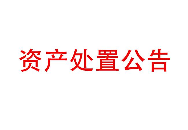 閑置設(shè)備資產(chǎn)處置公告(2023-19)